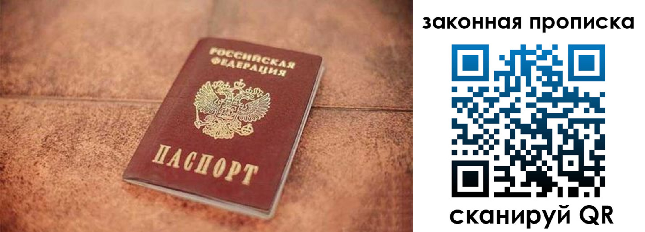 временная прописка в Волосово